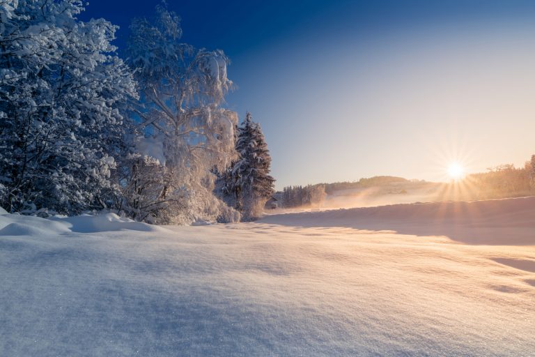 Winter Wonderland: Top Christmas destination